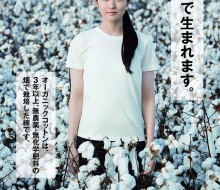 無印良品 綿 2015